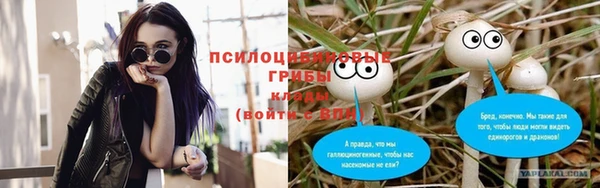 PSILOCYBIN Балахна