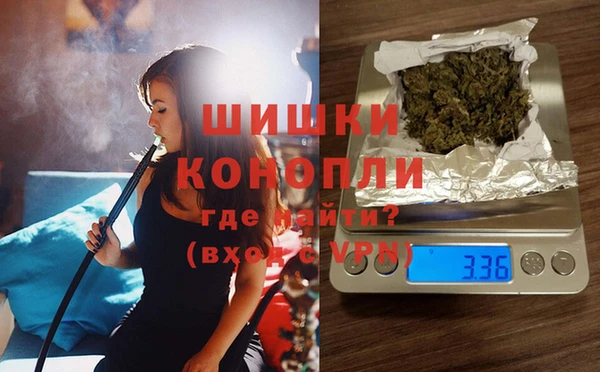 PSILOCYBIN Балахна